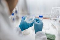 Warning over killer fungus which could infect millions as it spreads across Europe