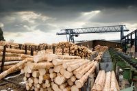 Plunging lumber prices pose warning sign for U.S. economy - WSJ (LB1:COM:Commodity)