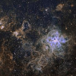 The Cosmic Web of the Tarantula Nebula