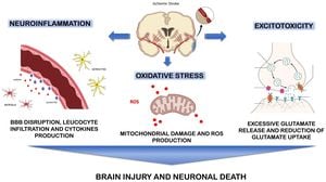 New Prehospital Scale Developed To Differentiate Stroke Types