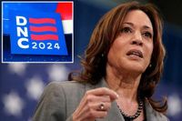DNC agreed to pick up the tab for more than $20M of Kamala Harris campaign debt in ‘handshake deal’: report