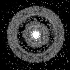  X-Ray Rings Around a Gamma Ray Burst 