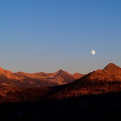 Autumn Moon Encore