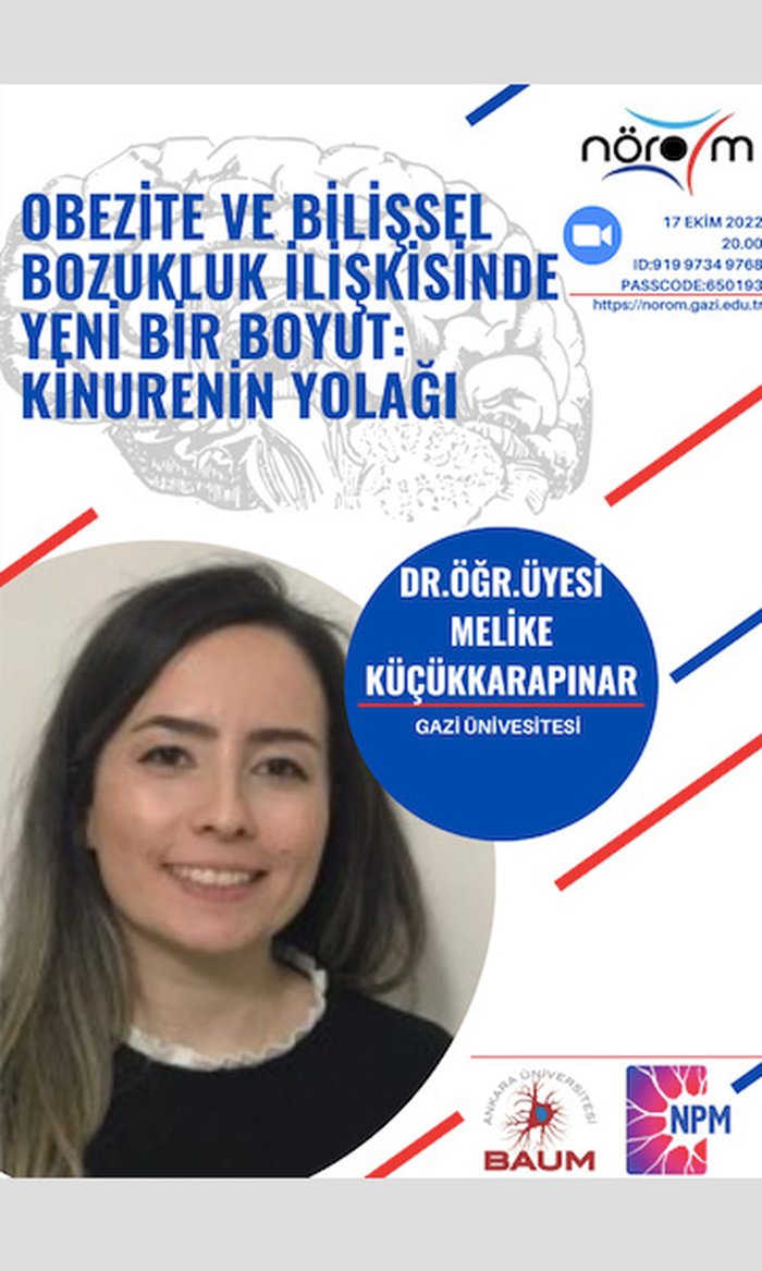 Obezite ve Bilişsel Bozukluk İlişkisi- NÖROM Seminerleri