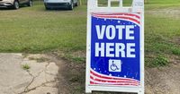 Election Results: March 29, 2025