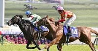 競馬の天皇賞･春、レーンの腕と勝負勘光る　ヘデントールがGⅠ初制覇 - 日本経済新聞