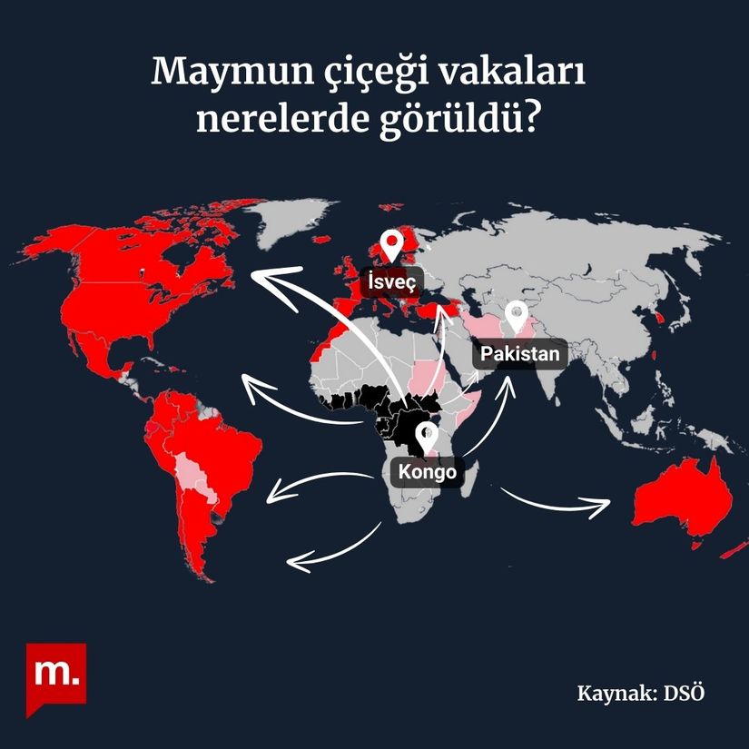 İnfografik: Maymun çiçeği virüsü hangi ülkelerde görüldü? Hastalığın belirtileri neler? -