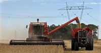 Argentina’s soybean exports to China surge amid Beijing’s US boycott