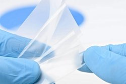 Bilim İnsanlarından Çığır Açan Buluş: 2 Ayda Ayrışan Yeni Biyoplastik.