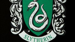 Slytherin Binasındakilerin Özellikleri