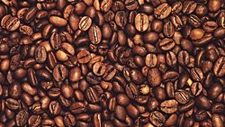 Kafeinin Zararlarını Biliyor musunuz?