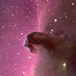 The Horsehead Nebula