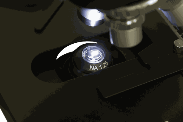 Levenhuk 700M Monoküler Mikroskop