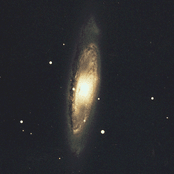 Leo Triplet Spiral Galaxy M65
