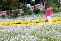 일요일, 흐리다 오후부터 맑음…찬바람에 체감온도 '뚝' [날씨]