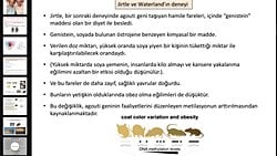 Epigenetik nasıl kontrol edilir?