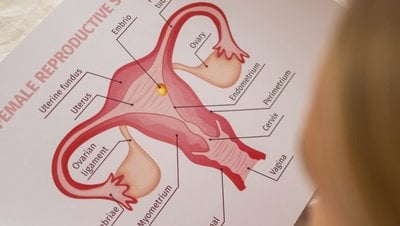 Rahim İçi Mikrobiyomun Kuşaklar Arası Evrimsel Aktarımı