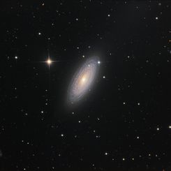 Spiral Galaxy NGC 2841