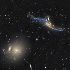 Pavo'daki Devasa Galaksiler