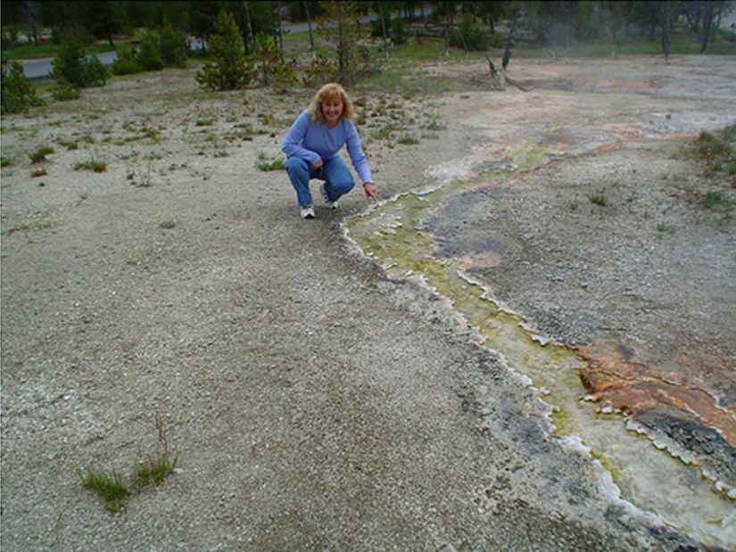 Yellowstone Ulusal Parkı'nda bulunan bu akarsuda bulunan siyanobakteriler yeşildir. Suyun ısı kaynağından uzak bölgelerinde siyanobakteri popülasyonu artmakta; buna bağlı olarak su daha yeşil bir ton almaktadır.