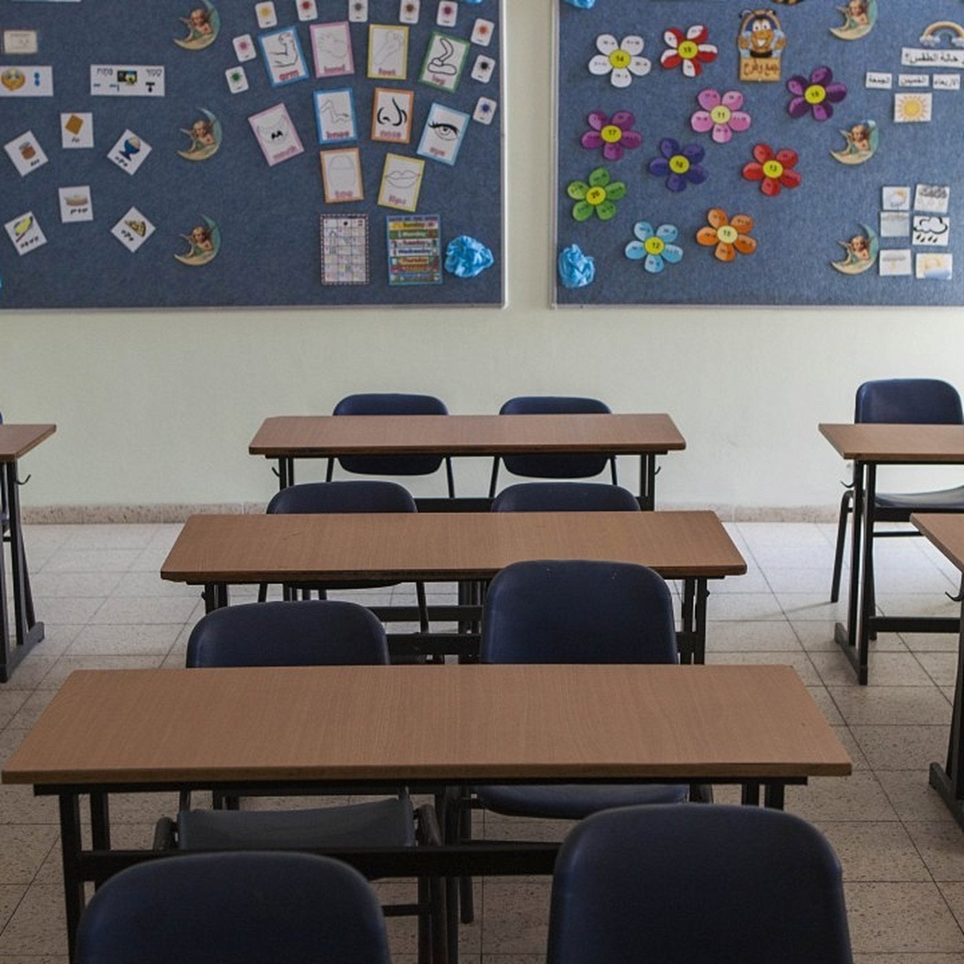 Evrim Ağacı ile Bilime Dair Her Şey!