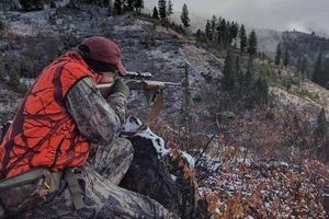 AI Mistakes Lead To Idaho Hunting Citations