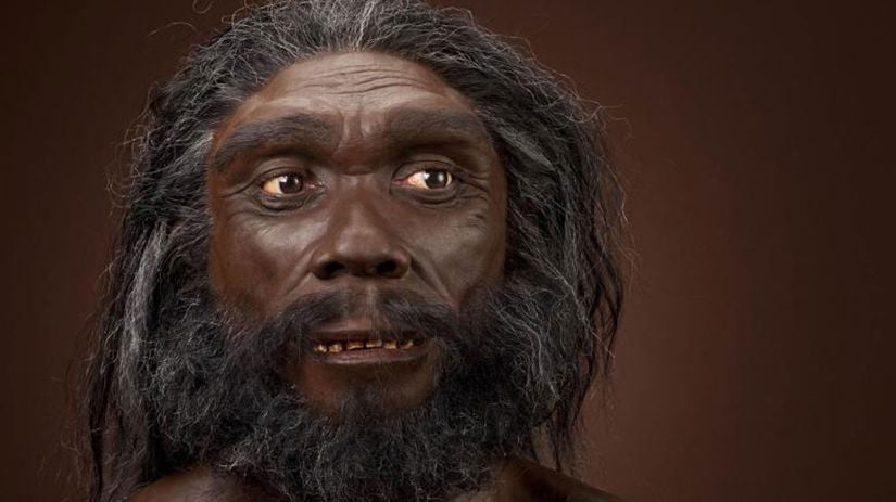 Homo heidelbergensis