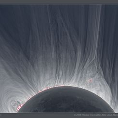  Detailed View of a Solar Eclipse Corona 