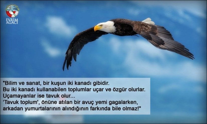 Bu söz çok sayıda kişiye atfedilmiştir; ancak ilk olarak kimin söylediği tam olarak bilinmemektedir. En sık olarak atfedilen kişilerin başında Charles Darwin gelir; fakat Darwin'in böyle bir söz sarfettiğine dair güvenilir bir kanıt bulunmamaktadır. Darwin'in büyük büyük torunu olan ekonomist Randal Keynes'in "Annie'nin Kutusu" isimli kitapta bu söze yer verdiği söylenir (ancak tarafımızdan kontrol edilmemiştir). Bazı diğer kişiler, ülkemizde Sunay Akın'ın bu sözü söylediğini iddia ederler. Fakat o da kendisi mi söyledi, yoksa kendisinden önceki bir kaynaktan mı aldı, bilemiyoruz. Ayrıca daha az bilinen isimlere de atfedildiği bilinmektedir. Örneğin Çinli bir öğretmen olan ve Peking Üniversitesi'nin eski rektörlerinden Cai Yuanpei'ye ve yine Çin doğumlu Amerikalı fizikçi Tsung-Dao Lee'ye atfedenler de bulunmaktadır. Söz, aynı zamanda süreç içerisinde çeşitli formlar da almıştır: "Bilim ve sanat bir kuşun iki kanadı, bir el arabasının iki tekeri gibidir.", "Bilim ve sanat bir paranın iki yüzü gibidir.", "Bilim ve sanat bir yapının iki temel sütunu gibidir." Kim söylemiş olursa olsun, tam 12'den vurduğunu düşünüyoruz.
