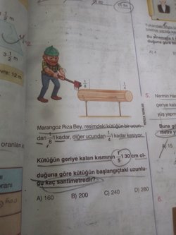 Kütüğün başlangıçtaki uzunluğu kaç cm'dir?