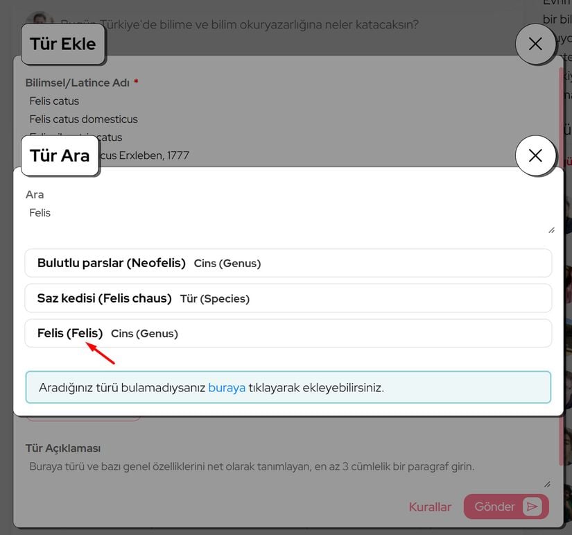Felis catus'u ilk girmeye çalıştığımızda arama sonuçlarında Felis cinsi çıkmıyordu. Ama artık üst taksonu eklediğimiz için, arama sonuçlarımız da buna göre güncellenmektedir. Artık Felis'i seçebiliriz.
