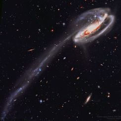 Hubble’dan İribaş Galaksisi