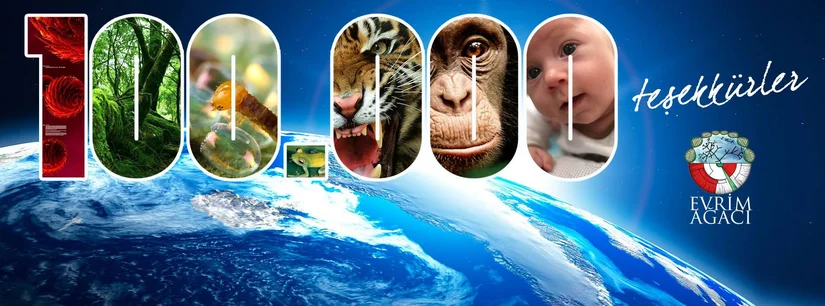 Evrim Ağacı Facebook sayfası 100.000 okura ulaştı.