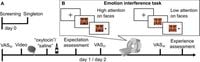 Placebo treatment entails resource-dependent downregulation of negative inputs - Scientific Reports