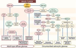 New Genetic Insights Offer Hope For Glioma Treatments