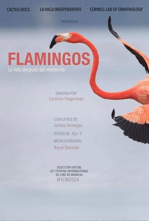 Flamingos: La vida después del meteorito
