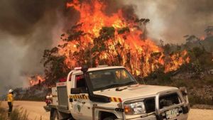 Urgent Evacuation Orders As Bushfires Threaten West Coast Tasmania