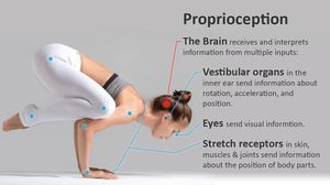 New Study Shows How Emotions Affect Ankle Proprioception Performance