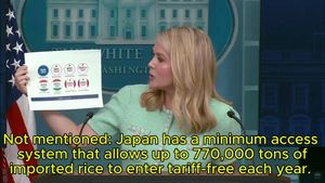 U.S. Targets Japan For 700% Rice Tariff