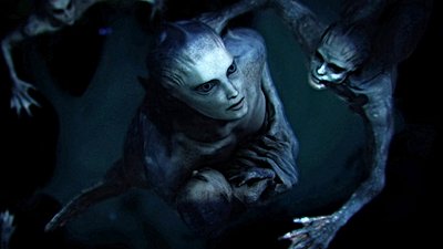 Sucul Maymun Hipotezi Nedir? İnsanların Ataları, Denizlerde Yaşayacak Şekilde mi Evrimleşti?