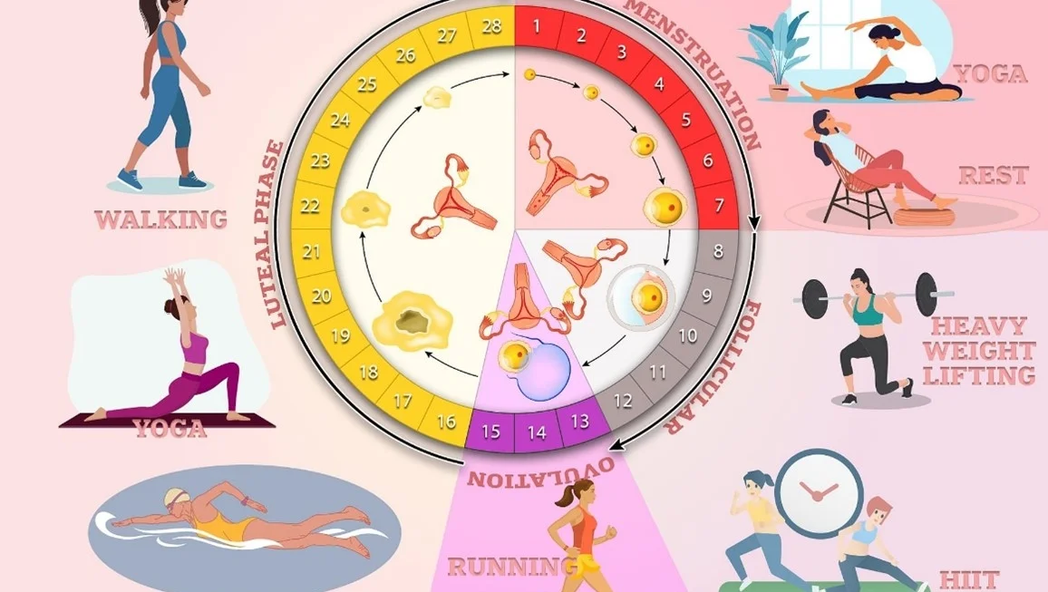 Menstrüel Döngü Spor Performansını Ne Kadar Etkiler?