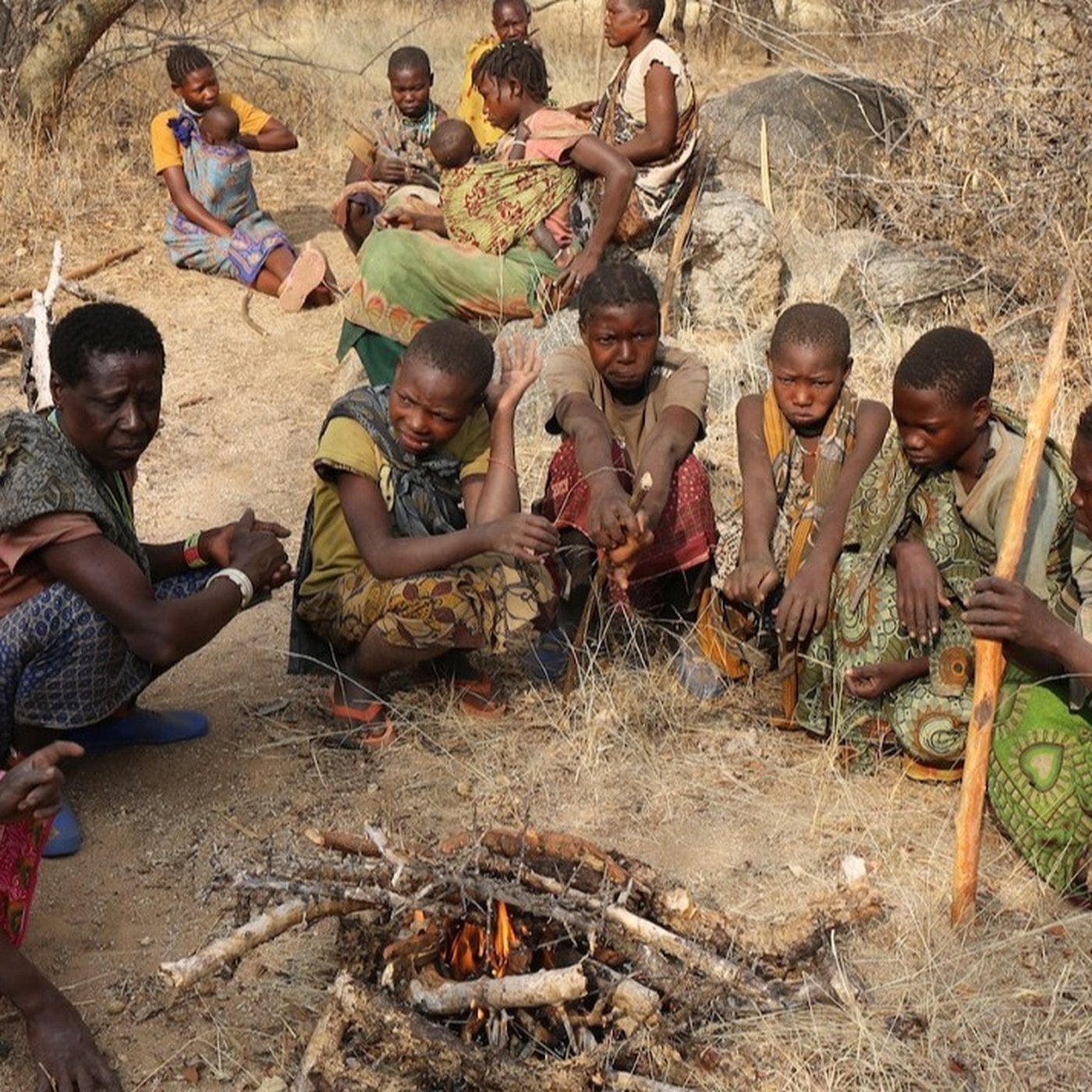 Evrim Ağacı ile Bilime Dair Her Şey!