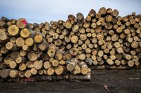 Trump’s Wood Tariffs Are Here. Who’s Hit The Hardest