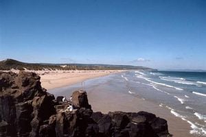 Blue Green Algae Forces Swimming Bans At North Coast