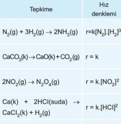 Kimyada hız hesaplarken neden denklemde bulunan moleküllerin başkatsayılarını üst olarak molariteye yazıyoruz?