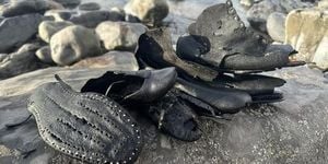 Hundreds Of Victorian Shoes Wash Ashore In Wales