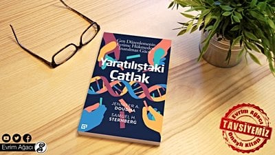Kitap Analizi: Yaratılıştaki Çatlak
