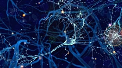 İnsan Belleğinin Genetik İmzası: Hafızamız, Genlerimizin Neresinde?