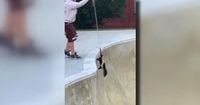 Skateboarder gets creative to rescue stranded skunk in video that went viral