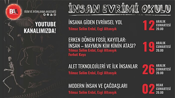 İnsan Evrimi Okulu